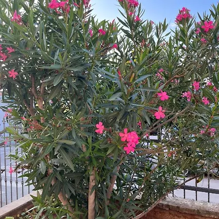 Апартаменты A & N With Free Private Parking *