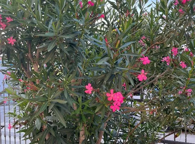 Apartman A & N With Free Private Parking *